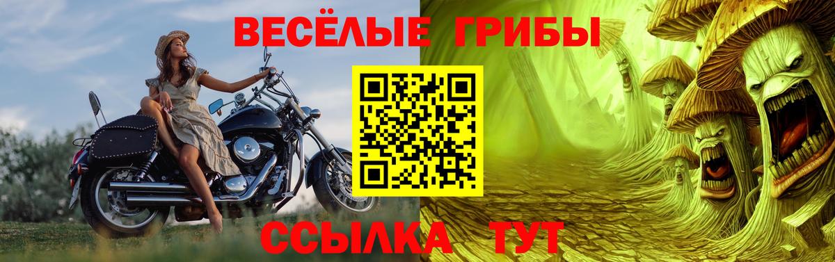 Псилоцибиновые грибы ЛСД  Псилоцибиновые грибы мицелий  Раменское 